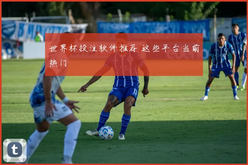世界杯投注软件推荐 这些平台当前热门