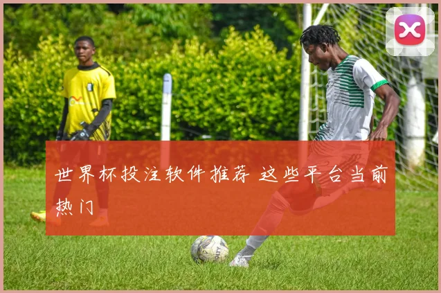 世界杯投注软件推荐 这些平台当前热门