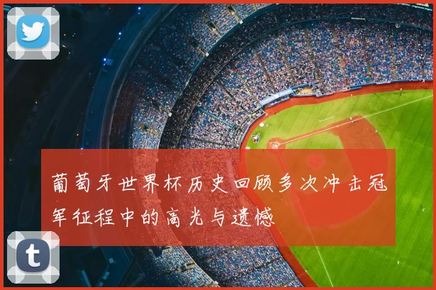 葡萄牙世界杯历史回顾多次冲击冠军征程中的高光与遗憾