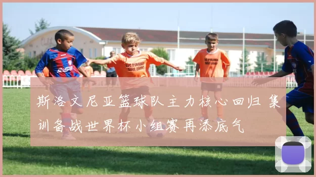 斯洛文尼亚篮球队主力核心回归 集训备战世界杯小组赛再添底气