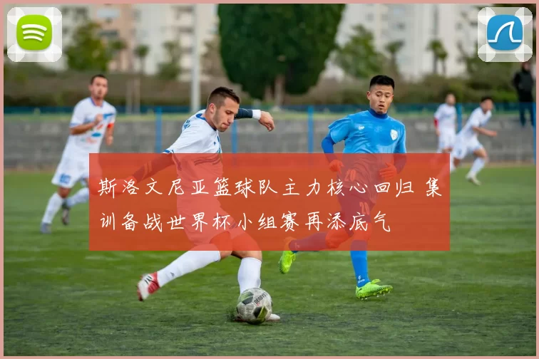 斯洛文尼亚篮球队主力核心回归 集训备战世界杯小组赛再添底气