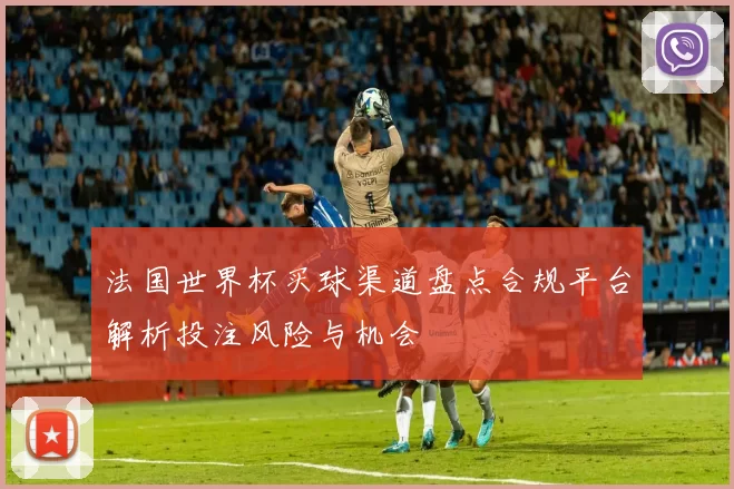 法国世界杯买球渠道盘点合规平台解析投注风险与机会