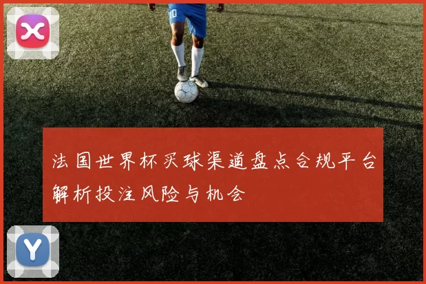 法国世界杯买球渠道盘点合规平台解析投注风险与机会