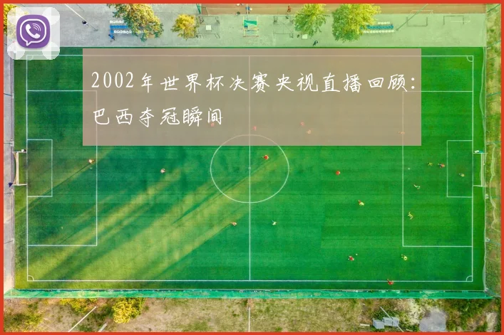 2002年世界杯决赛央视直播回顾：巴西夺冠瞬间