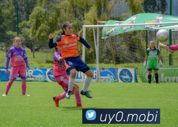 巅峰国标pg官网入口(中国)网页版入口APP 体育赛事宣传图